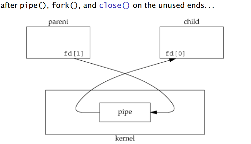 pipe_and_fork