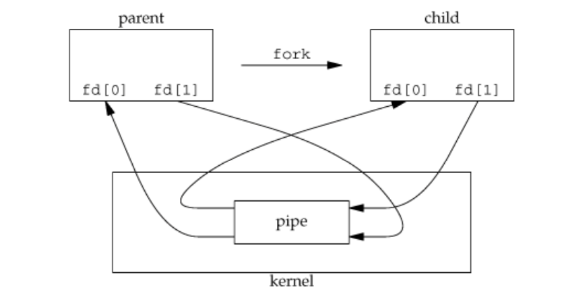 pipe_and_fork